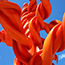 Roter Baum, Aussenskulptur, Kunstmuseum Stuttgart